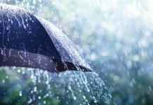 Tendenca 5 ditore e reshjeve sipas zonave ne Shqiperi 3 Nentor 2025