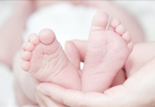 BM – Shkalla e lindjeve në nivelin më të ulët historik