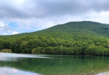 Fushë Studën, Librazhd