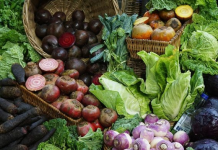 Shijet e vjeshtës: Perimet më të mira