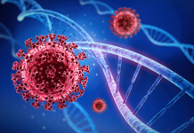 Virus të krijuar nga IA, arma e re kundër bakterieve rezistente