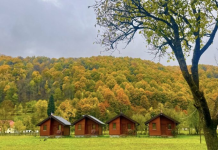 Vjeshta “pikturon” me ngjyra magjike Malësinë e Kelmendit