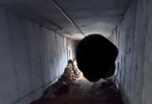 POLONI – Zbulohen tunele misterioze në kufirin bjellorus