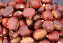 Promovim pasurisë natyrore të Tropojës