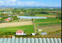 Kredia e Butë me Garanci Sovrane, mundësi reale për fermerët