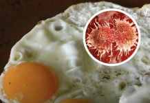 Personat me nivele të larta të kolesterolit kanë rrezik më të ulët për kancer dhe vdekje