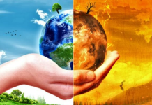 Fond i gjelbër dhe rritje me 50% të gjobave