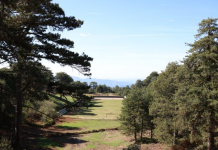 “Paketa e Maleve”, miratohen zonat prioritare në Belsh, Përmet, Skrapar dhe Elbasan