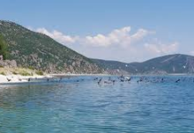 Qeveria miraton klasifikimin e statusit ekologjik të beseneve ujore