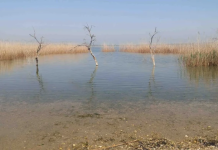 Greqia ndërmerr masa për menaxhimin e mungesës së ujit