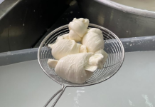 UBT sjell teknologjinë italiane të prodhimit të Mozzarella-s në Shqipëri