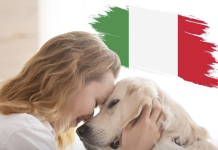 Italia ka më shumë kafshë shtëpiake sesa foshnje