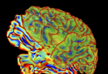 IA deshifron trurin duke shndërruar mendimet në tekst