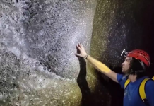 Në një shpellë në kufirin shqiptaro-grek zbulohet rrjeta më e madhe e merimangave në botë