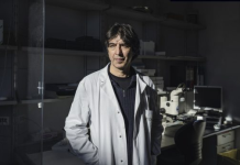 Agjërimi për 72 orë çon në rigjenerim të plotë të sistemit imunitar