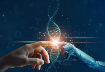 Shkenca për Paqe dhe Zhvillim