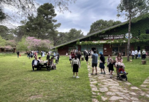 Divjakë-Karavasta parku më i vizituar nga turistët, 428 mijë në 10 muaj