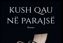 Shqipëria e vitit 1996 në romanin e Irena Shabanit