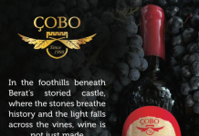 “Çobo” vlerësohet nga “Forbes Global Properties”