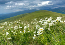 Zonat me përparësi ekonominë malore në Kukës