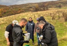 AKZM: Shpëtohet ariu i murrmë i rënë në kurth në Trebinjë