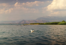 Liqeni i Shkodrës në UNESCO