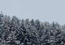 Dëbora e parë në Razëm