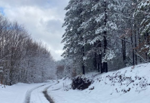 Shebenik, mundësi për të eksploruar parkun nën shoqërinë e udhërrëfyesve