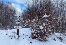 Bukuritë natyrore me udhërrëfyes të certifikuar