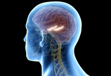 Ankthi shkakton plakjen e parakohshme të trurit