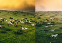 Peizazh magjik i bjeshkëve të Kukësit