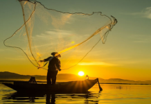 Rregullat për ndalimin e peshkimit të paligjshëm dhe certifikimin e zënieve