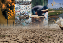 WMO: 2025-a mund të rezultojë viti i dyti ose i treti më i ngrohtë që nga Revolucioni Industrial