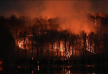 Evropa u përball me zjarre rekord në vitin 2025