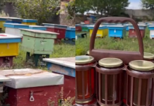 Mjalti vendas me rritje të qëndrueshme, qeveria synon zgjerimin e sektorit