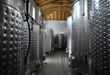 Pogradeci rikthen në jetë varietetet autoktone të rrushit