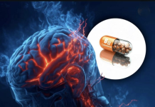 Nivelet e ulëta të vitaminës B12 çojnë në atrofi cerebrale