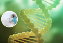 Ecja e shpejtë mund të ngadalësojë procesin biologjik të plakjes