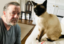 Gervais dhuron 2,5 milionë paund për bamirësi për kafshët