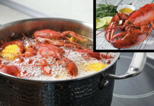 Ndalohet zierja e karavidheve të gjalla si pjesë e masave kundër mizorisë ndaj kafshëve