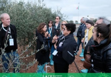 Siguria e ullishtave, ekspertët shqiptarë në takimin rajonal në Itali