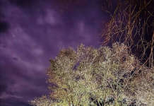 Lumi Buna, “spektakël” ngjyrash