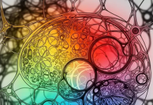 Si vendos truri se cilat kujtime të ruajë?