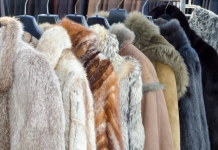 Polonia i jep fund prodhimit të veshjeve prej gëzofi