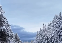 Bardhësia e dëborës zbukuron qytetin e Pukës