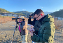 Përfundon censi i shpendëve ujorë dimërues