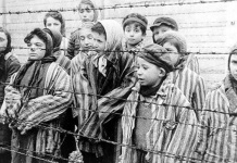 Gjenocidi i rreth 6 milionë hebrenjve