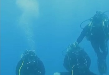 Profesionalizmi dhe përgatitja e detarëve