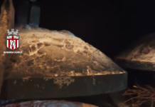 Lakrori në saç në Korçë, përvojë unike