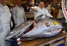 3,3 milionë dollarë për një… ton!